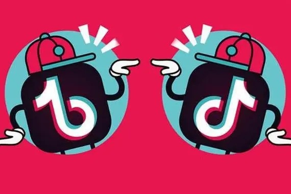 抖音直播协议哪里有？